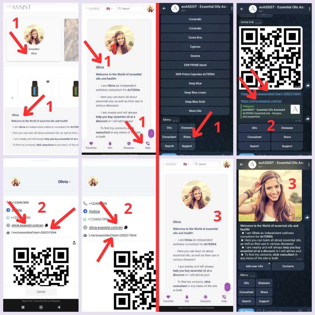 ¿Cómo y dónde compartir mi sitio y mi bot?